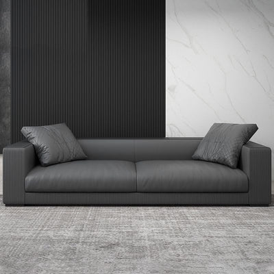 Modern leather sofa