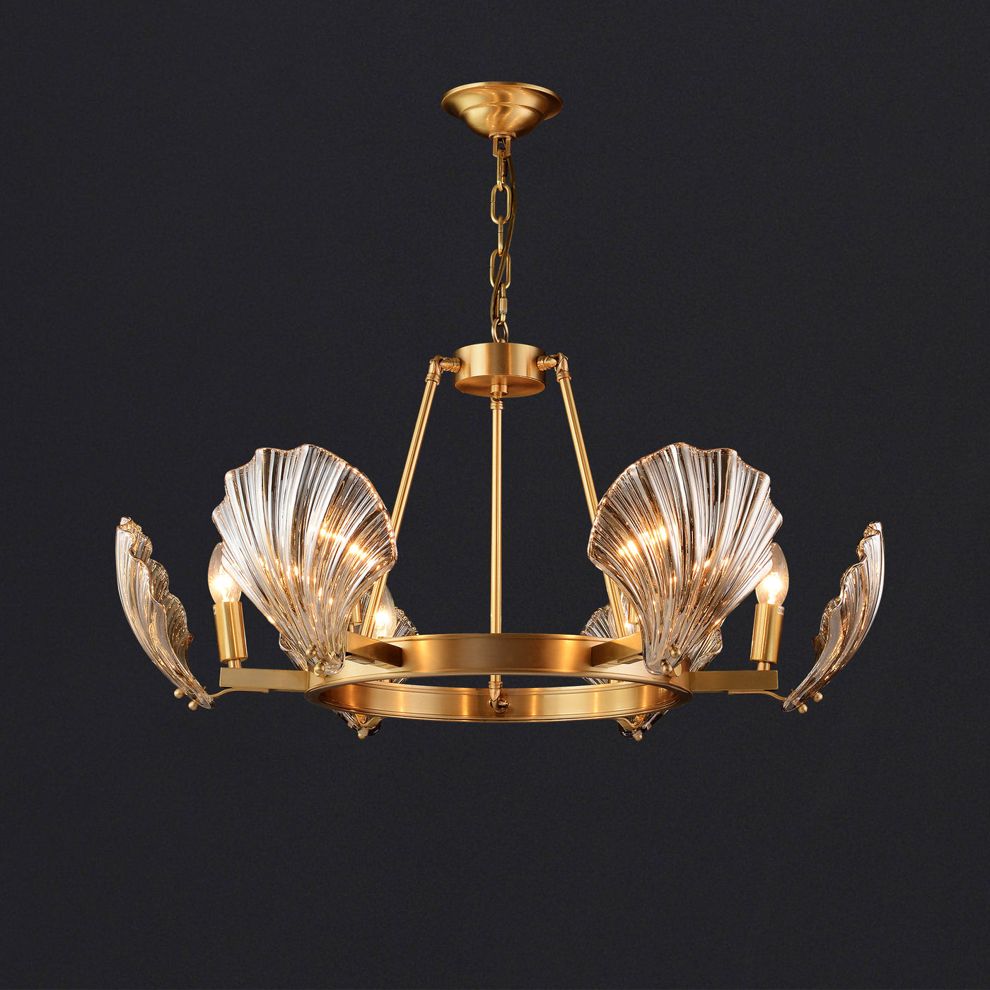 6 Lights Shell Mordern style Round crystal Glass Chandelier