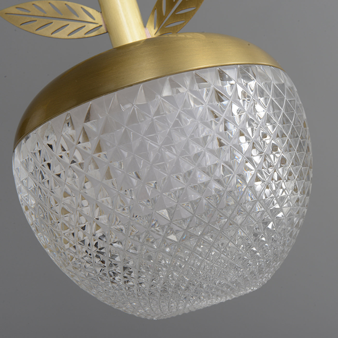 Creative apple rectangle chandelier