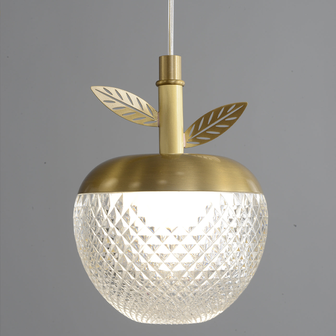 Creative apple rectangle chandelier