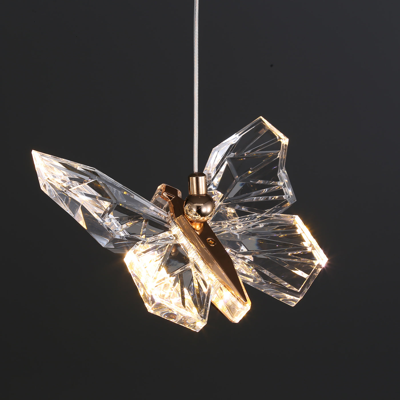 Mordern style Butterfly Chandelier