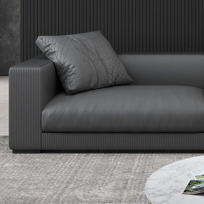 Modern leather sofa